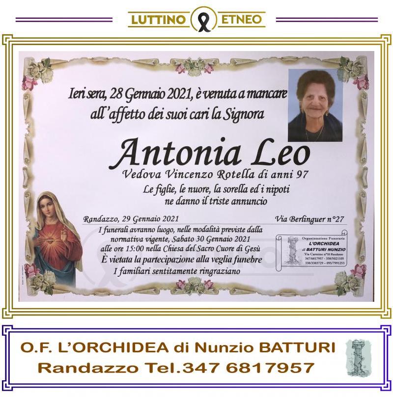 Antonia  Leo 